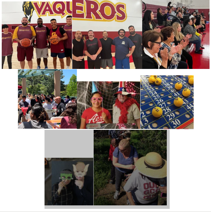 various photos of people