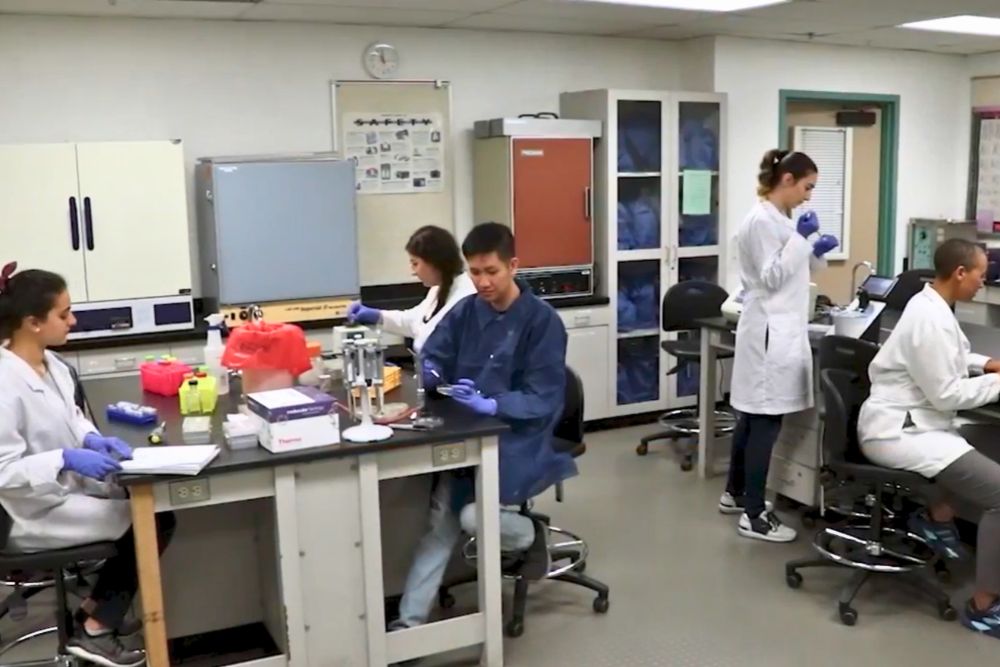 Learn biotech lab skills!