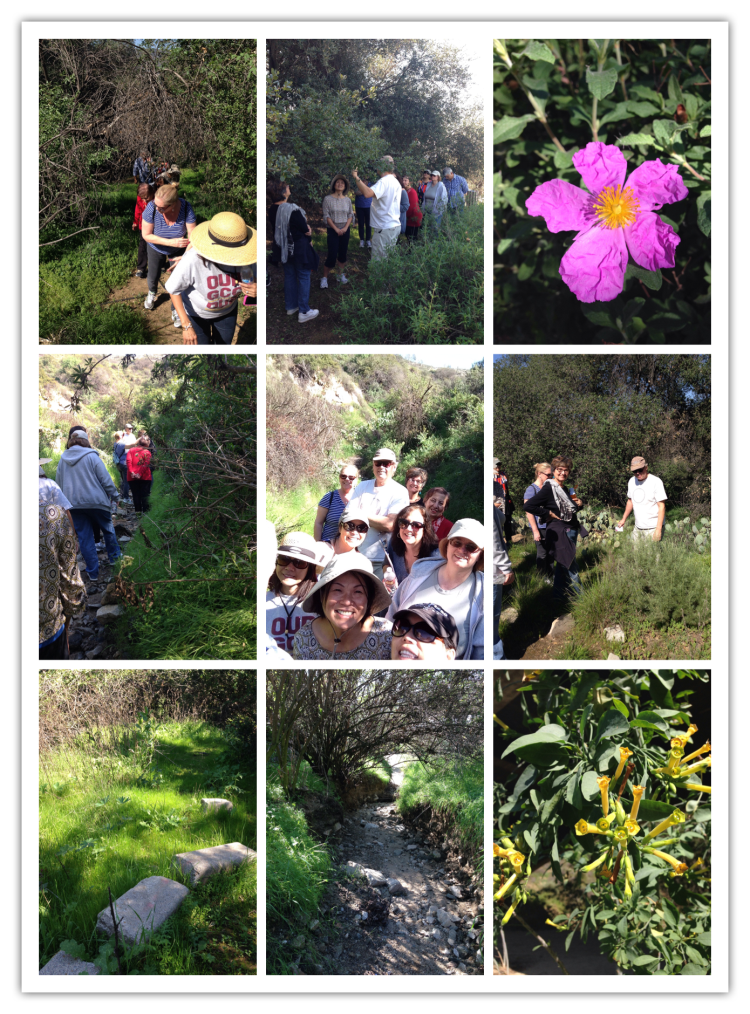 GCC Nature Walk with Keith Conover