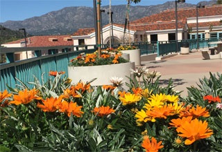 Library patio