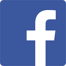 Facebook icon 225