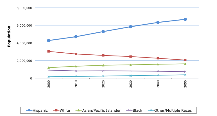 Ethnicity Projection LA County