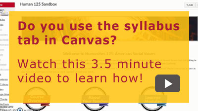 Do you use the syllabus tab in canvas?