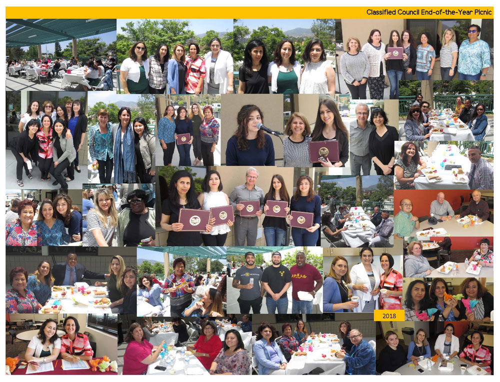 2018 Classified Council end of the year picnic