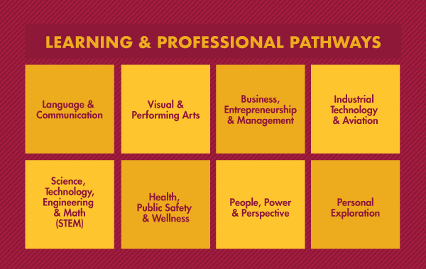 learning and professional pathways