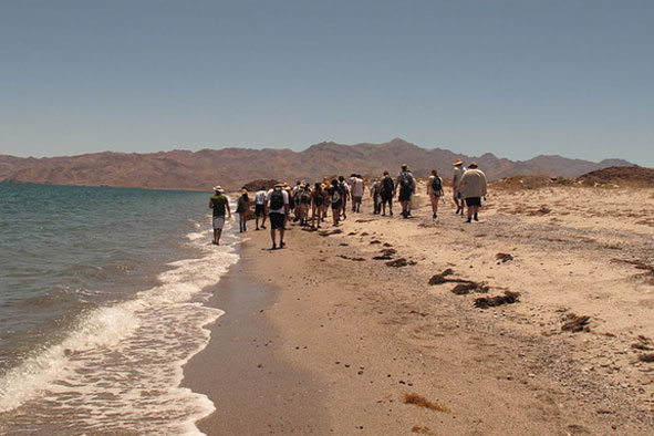 Baja Field Study