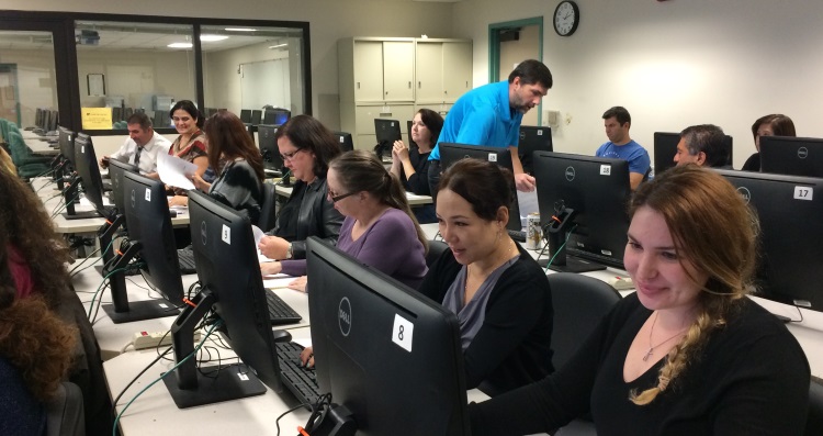 staff working at computers