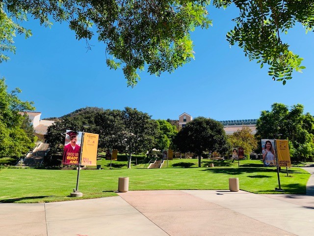 Campus Banners picture