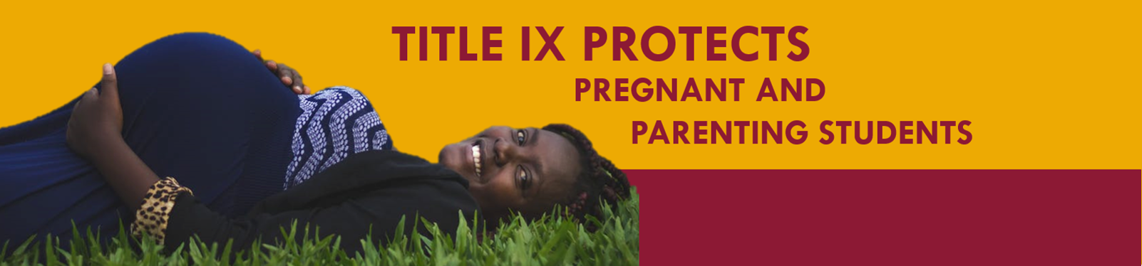 TITLE IX BANNER