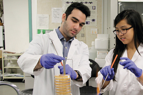 Science students working in lab