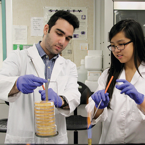 Science students in lab