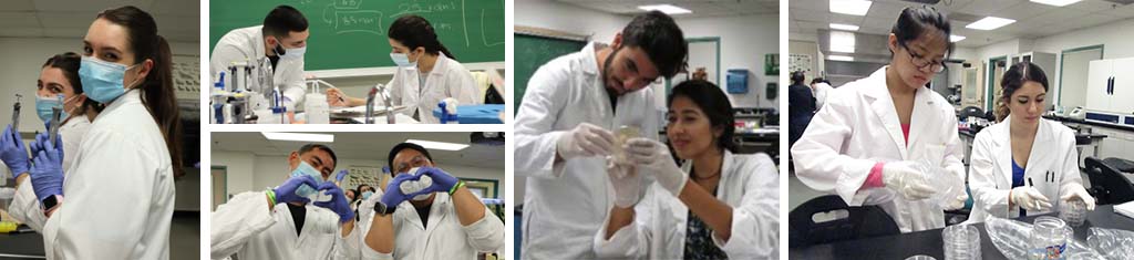 Biotechnology at GCC