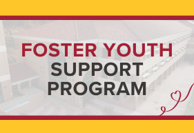 Foster Youth Support Program