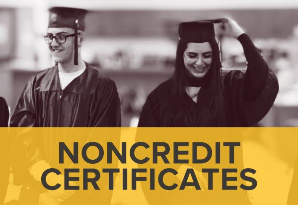 Noncredit certificates